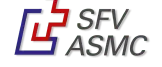 logo-sfv